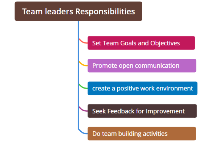 Team Leader Responsibilities